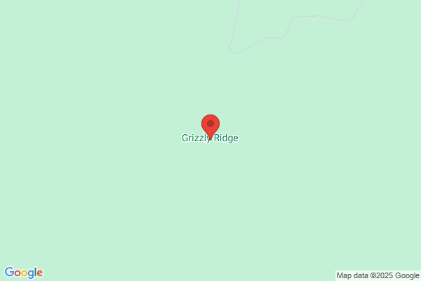Grizzly Ridge Construction