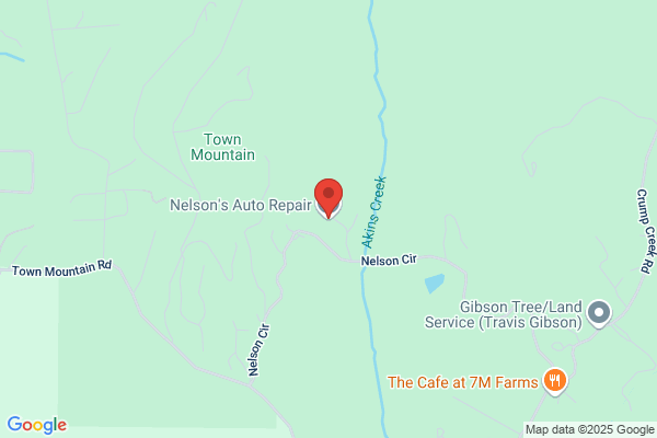Nelsons Auto Repair