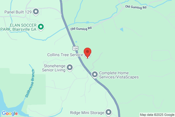 Collins Backhoe Service
