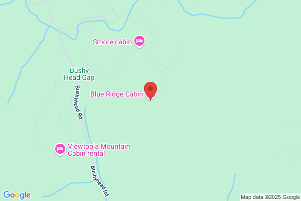 Blue Ridge View Inc