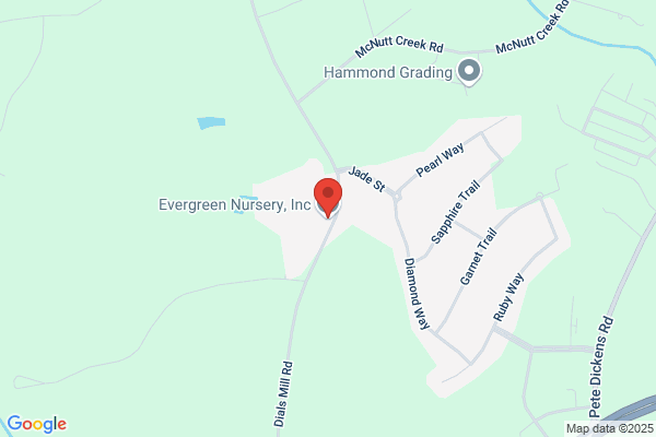 Evergreen Nursery Greenhouse & Landscaping