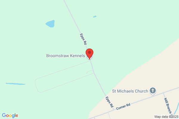 Broomsedge Kennels