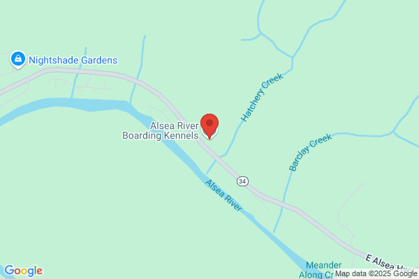 Tidewater Boarding Kennels