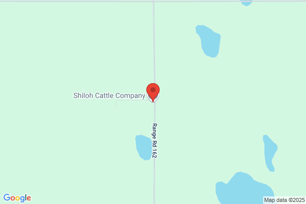 Shiloe Land & Cattle Co
