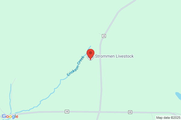 Strommen Livestock