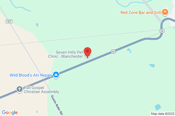 Seven Hills Pet Clinic - Blanchester