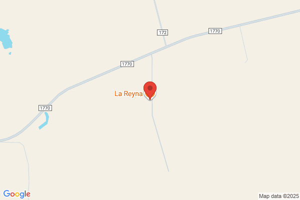 The River-House @ 144 Grapevine Trail