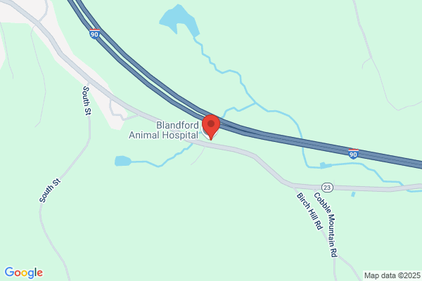 Blandford Animal Hospital