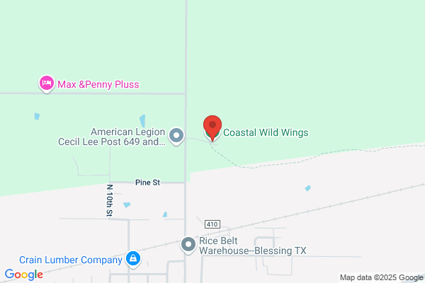 Coastal Wild Wings