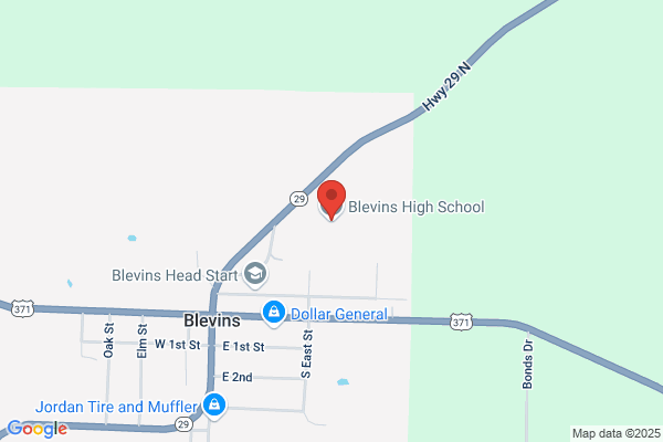 Blevins High School