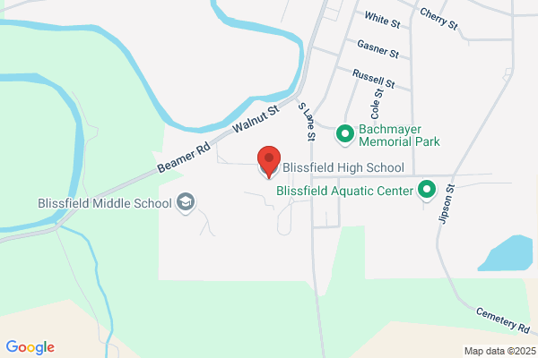 Blissfield Community Schools, Senior High School