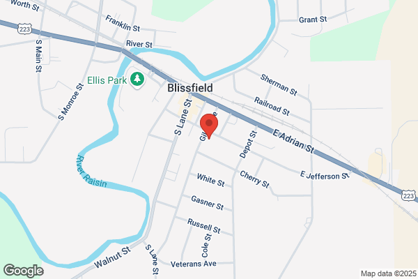 Blissfield State Bank