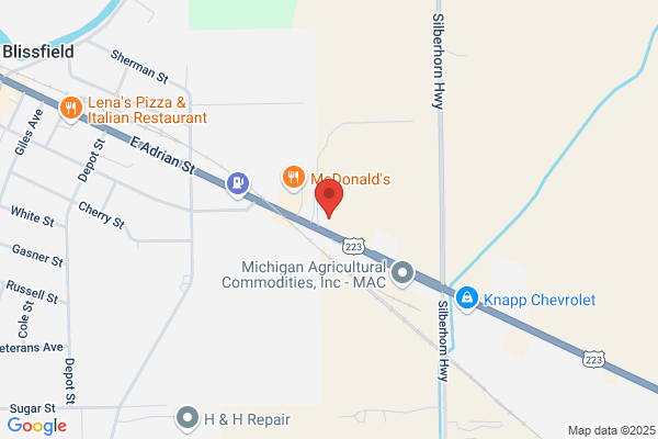 NAPA Auto Parts - Blissfield Parts