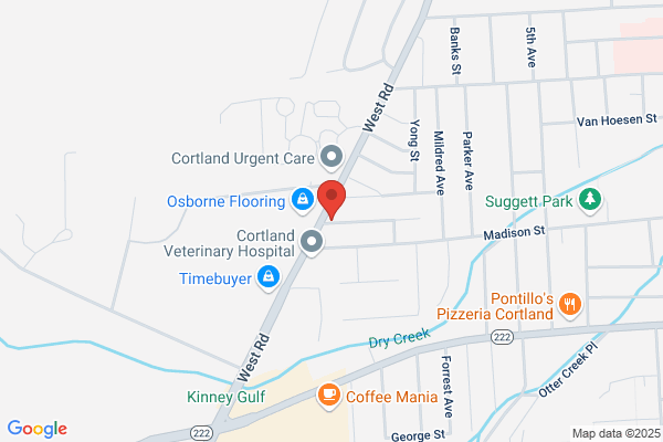 Cortland Dry Cleaners
