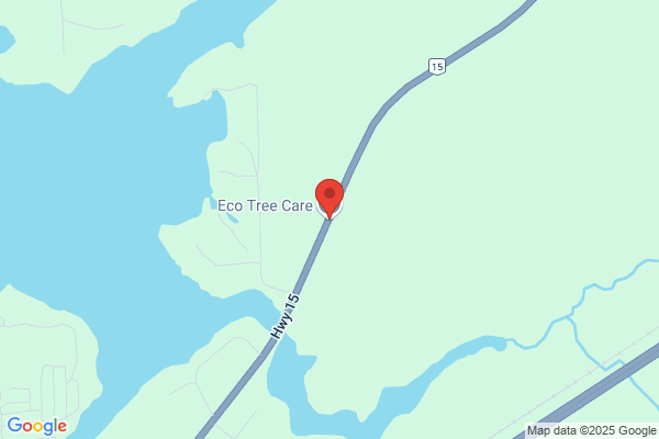Eco Tree Care Service