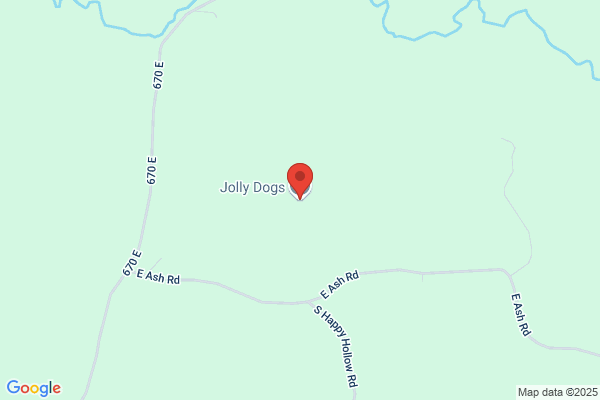 Jolly Dogs