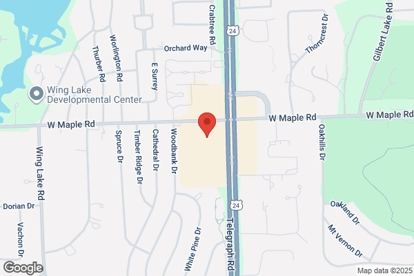 Toyology Toys - Bloomfield Hills