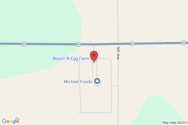 Bloom N Egg Farm
