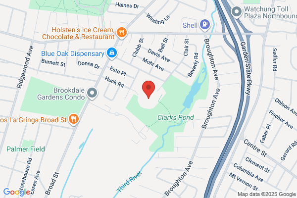 Brookdale Search Associates