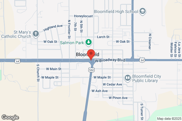 Bloomfield DSL