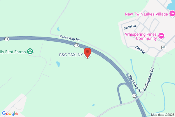 Catskill Taxi Stands