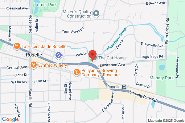 Roselle Currency Exchange