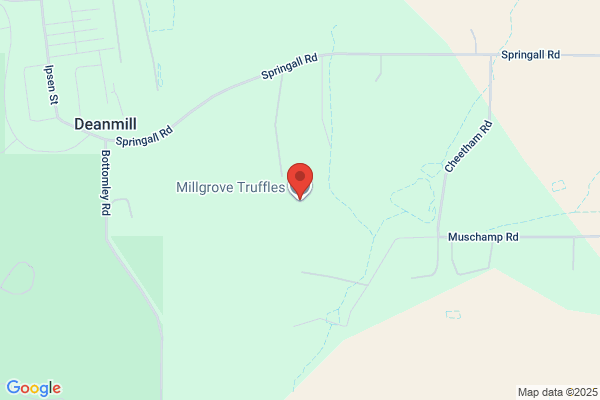 Truffles Grove