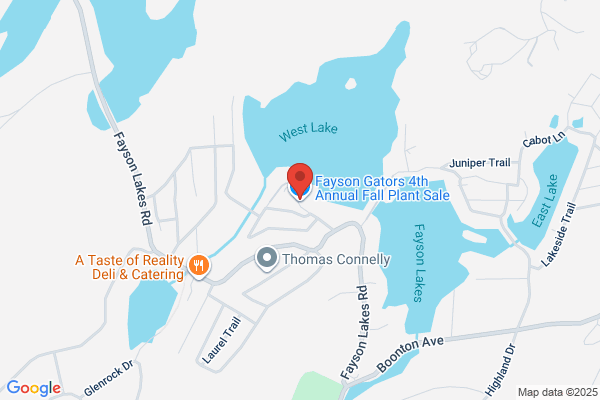 Fayson Lakes Association Inc