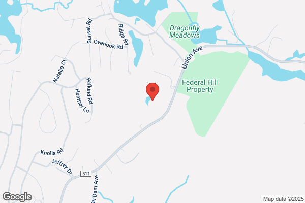 Springbrook Acres Inc