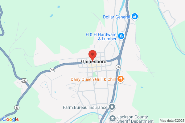 Gainesboro Drugs