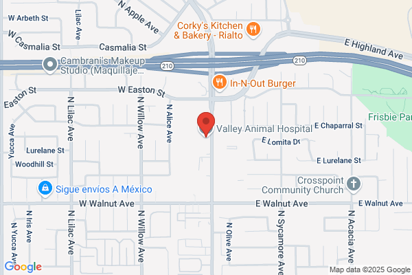 Valley Animal Hospital
