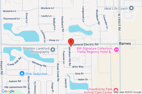 Endodontic Specialists Llc