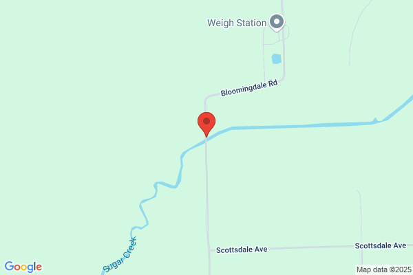 Bloomingdale Farms Inc