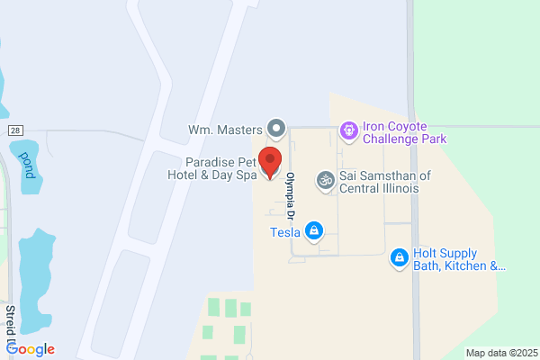 Paradise Pet Hotel & Day Spa