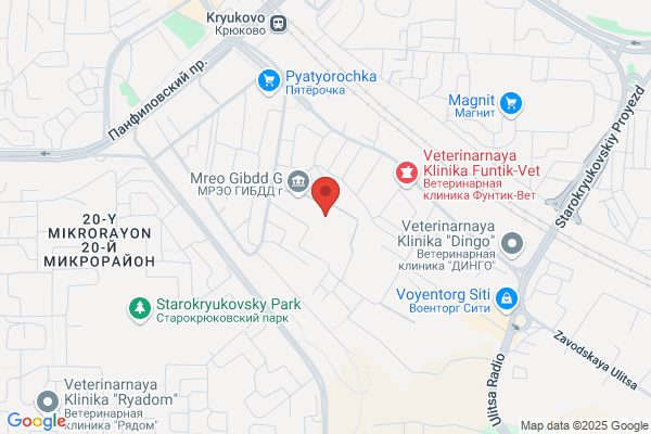 License Branch - Auto