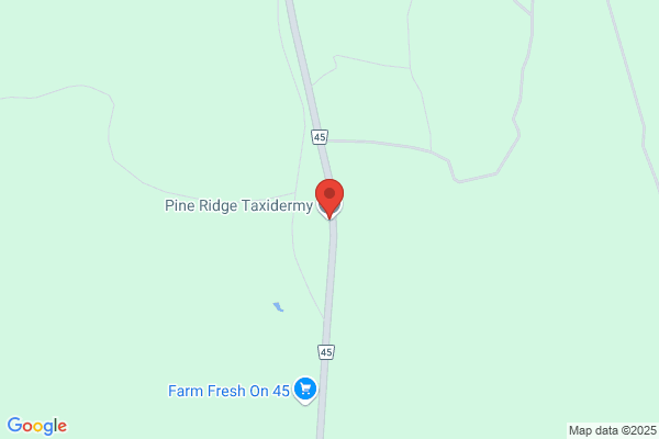 Pine Ridge Taxidermy