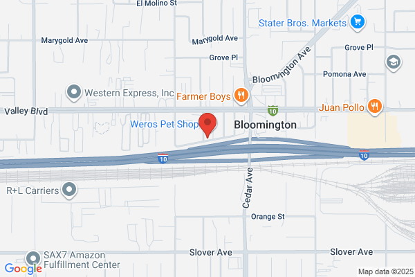 Bloomington Garage