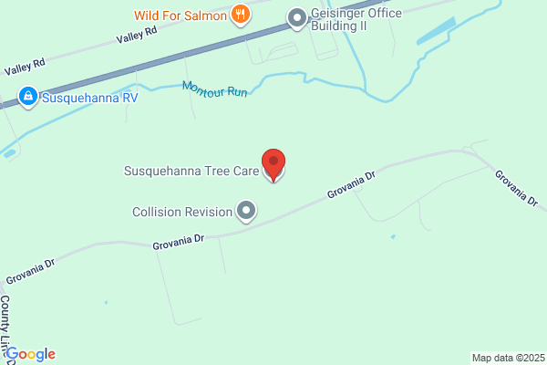 Susquehanna Tree Care