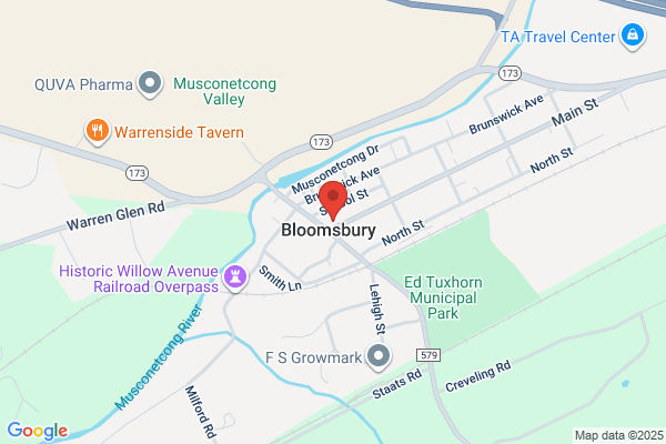 Bloomsbury Public School