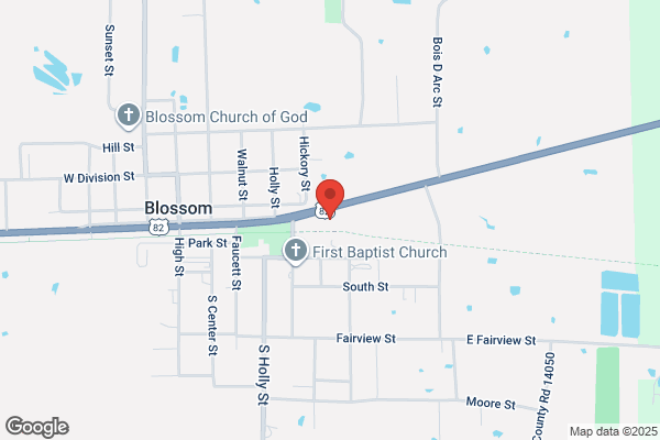 Blossom Food Mart