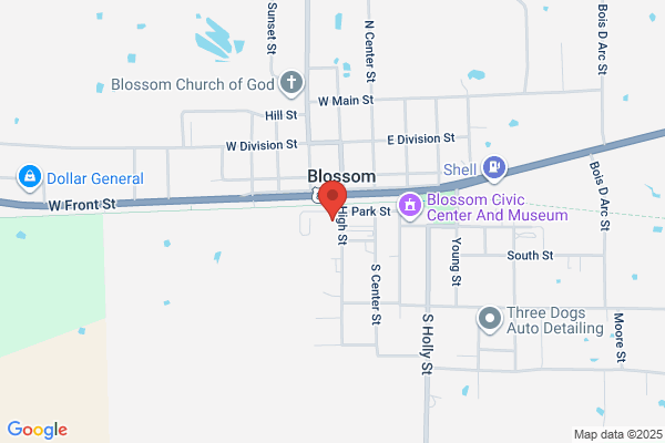 Blossom School