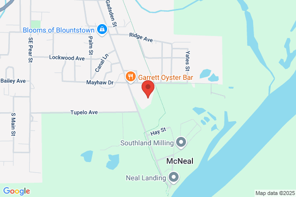 Hicks Creek Logging