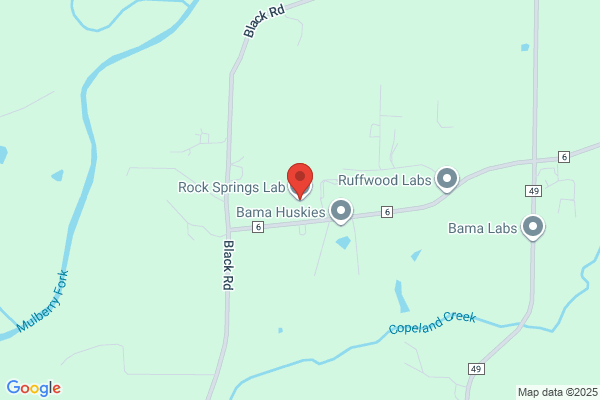 Rock Springs Farm
