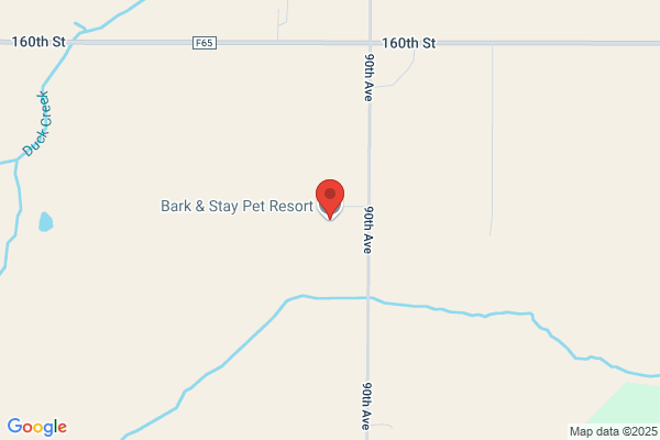 Bark & Stay Pet Resort