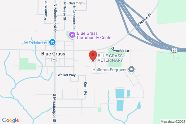 Blue Grass Veterinary Hospital
