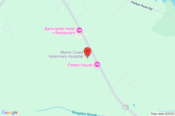 Maine Coast Veterinary Hospital
