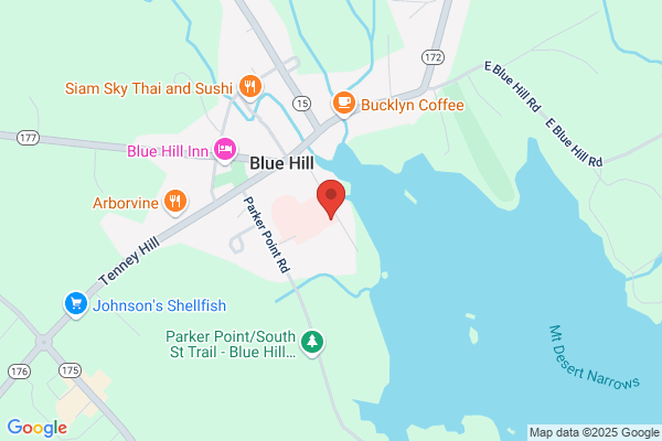 Blue Hill Surgical Specialties
