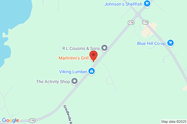 Marlintinis Grill Inc