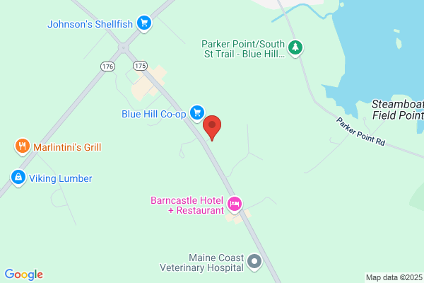 NAPA Auto Parts - Coastal Auto Parts Blue Hill
