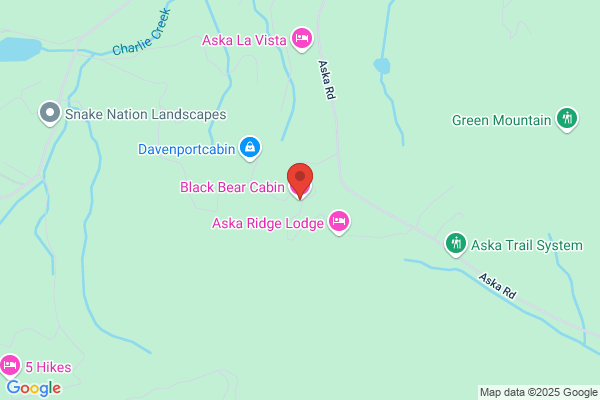 Black Bear Cabin Rental